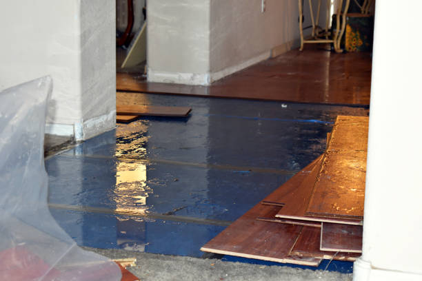 Professional Flood Damage Repair technician working in Edgerton, WI